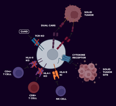 武田再度加码“被抛弃”的细胞疗法，CAR-NK或将在2029问世